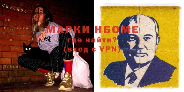 индика Кинешма