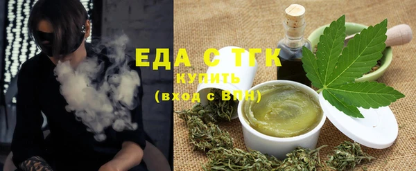 индика Кинешма